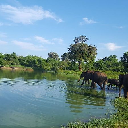Kuma Safari Lodge Udawalawe Eksteriør bilde